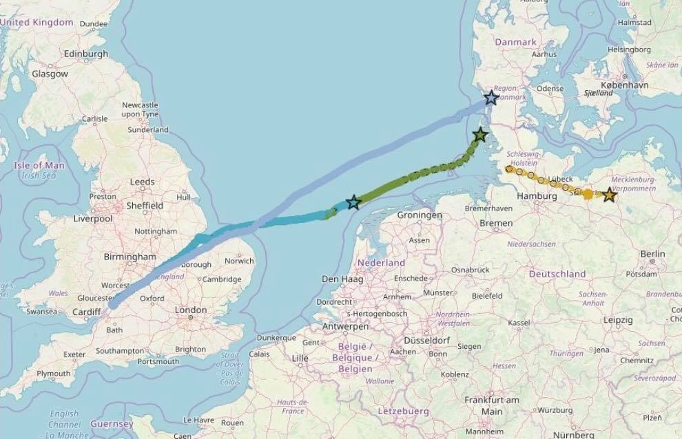 By the following morning, the birds had made it to Denmark! Maps courtesy of WWT.