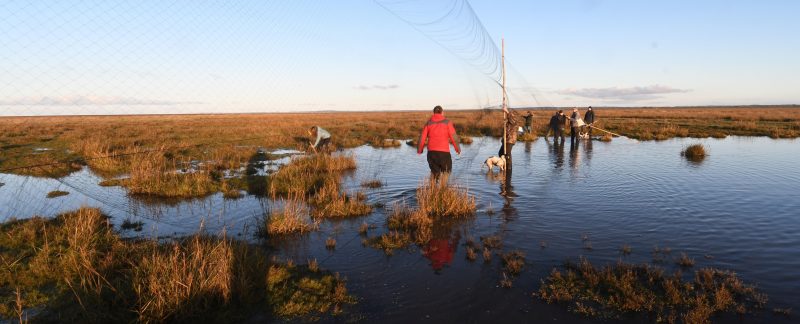 Panoramic shot of the team setting mist nets, by Rob Robinson
