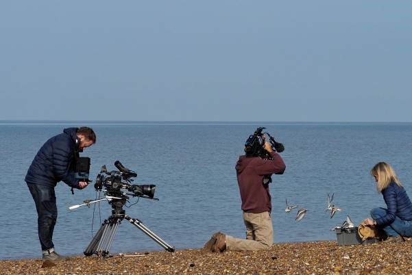Photo of the Autumnwatch film crew filming Micheala Strachan releasing birds. Photo by Cathy Ryden.