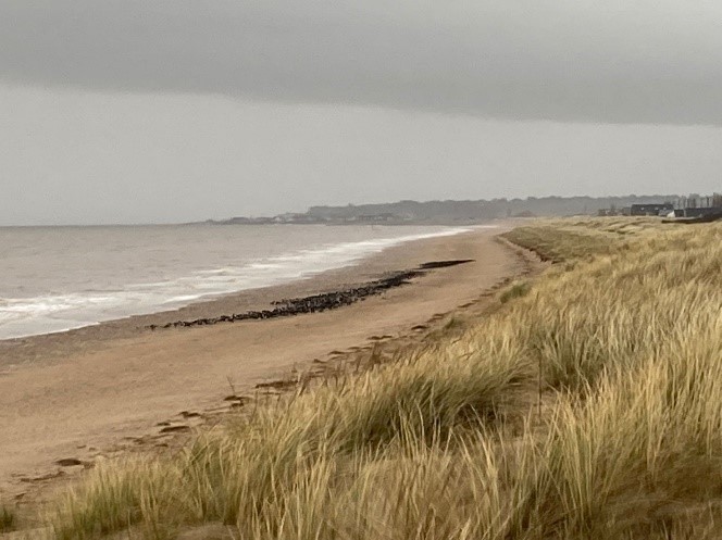 A beach scene, with a dense flock of waders roosting under a grey sky. Photo by Lizzie Grayshon.