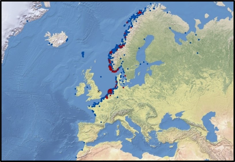 Map showing movements of Oystercatchers ringed by WWRG 