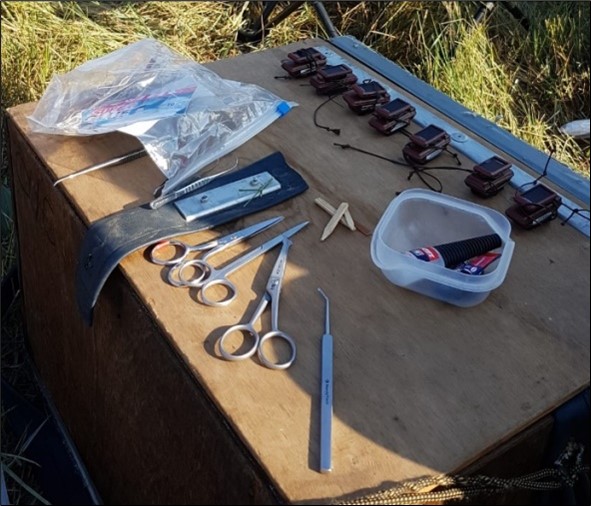 Photo of a table full of GPS-GSM tags set up ready to be put on Curlew. by Cathy Ryden
