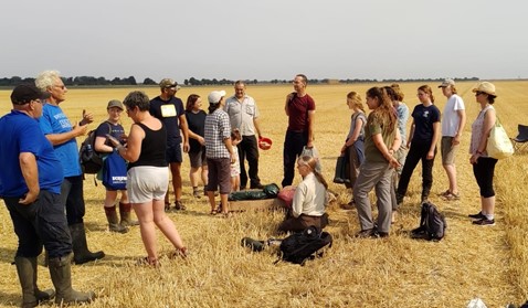 A group of ringers standing in a stubble field in the sun, listening to a briefing from the team leader, by Cathy Ryden