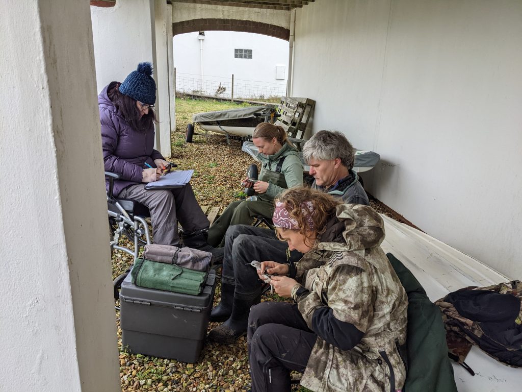 Bird ringers sitting in a line processing waders.