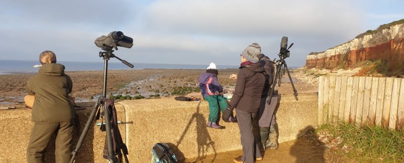 The team resighting at Hunstanton Cliffs in beautiful light conditions. Photo by Hilary Hodkinson.