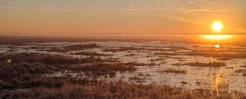 Sunrise over a misty saltmarsh, by David King