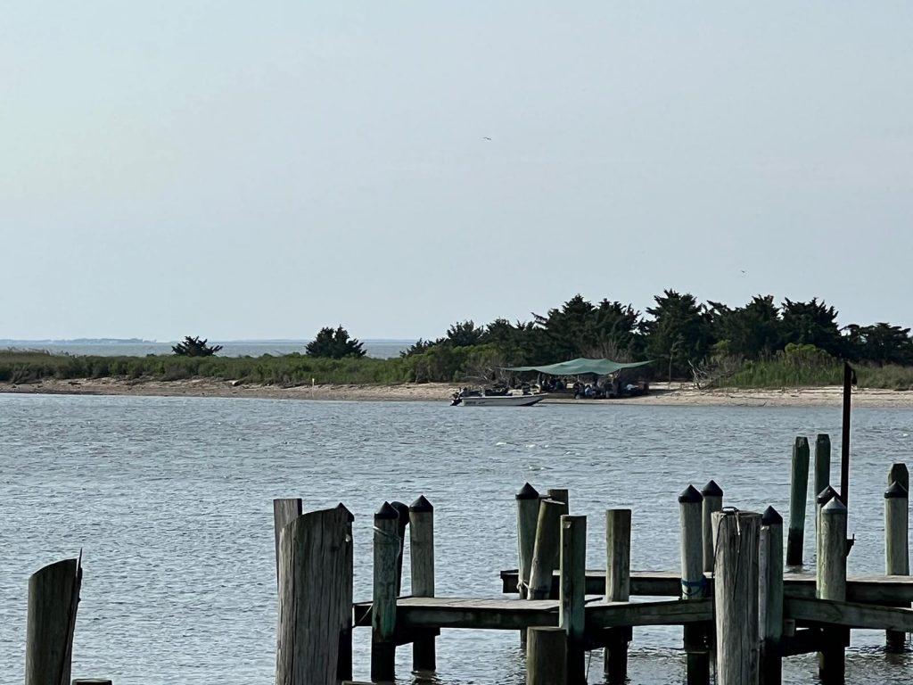 A photo of a small beach, with trees at the back under a hazy sky. There is a small boat anchored off the beach and a team of bird ringers (banders) are ringing shorebirds under the shade of a green canopy that has been erected on the beach. There are wooden pilings in the foreground of the photo. Photo by Greg Breese.