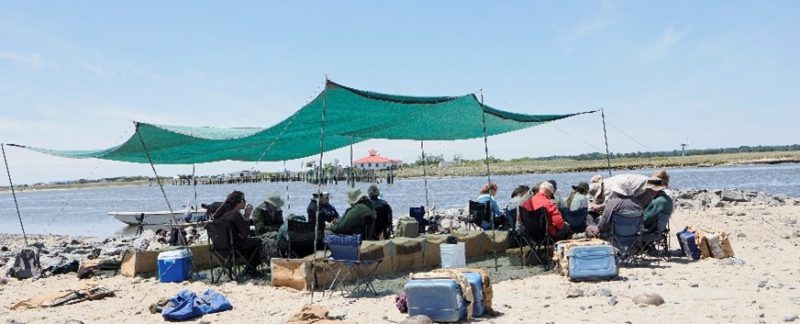 Photo of a team of bird ringers sat on a beach under a shade cover processing birds. Photo by Cathy Ryden