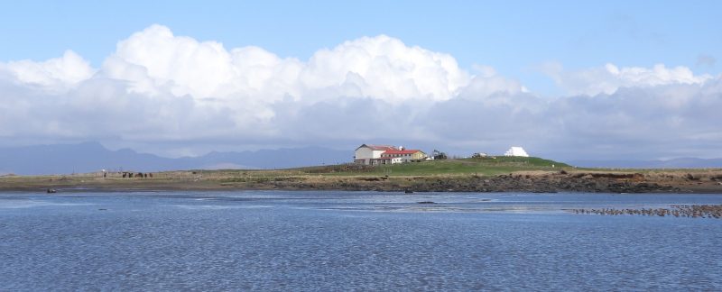 Panoramic photograph of someone standing on a mudflat, using a telescope to look at a small flock of wading birds. There is land with a red-roofed building behind them, in front of a blue sky with puffy white clouds. Photo by Bernard Siddle.