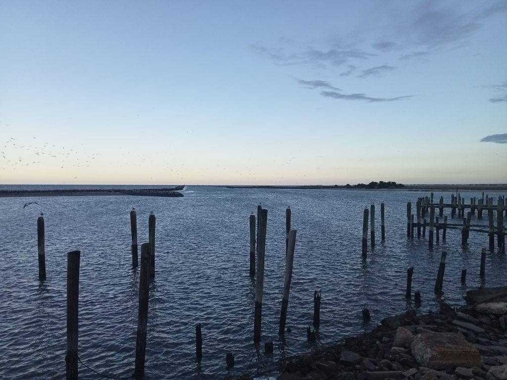 A landscape photograph of a harbour, with wooden pilings in the foreground. The sky and water are blue and there are slight wind-caused ripples crossing the surface of the water. 