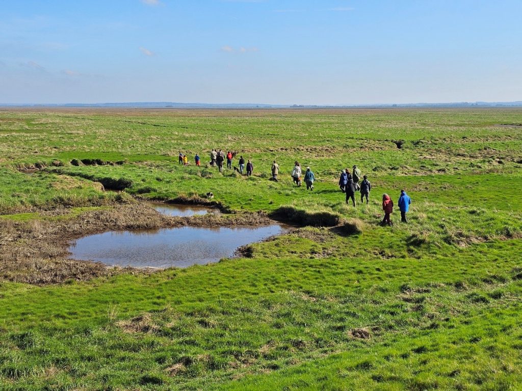 A group of people walk out across a green marsh with a pool of water in the foreground. They are walking in glorious sunshine, under a clear blue sky.