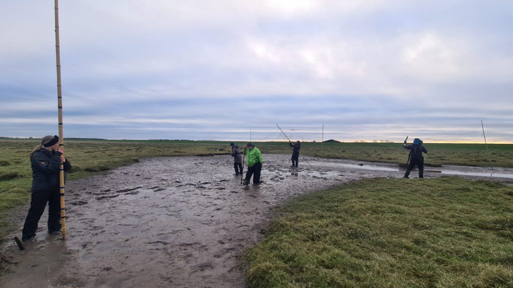 A team of people are standing up to their ankles in a muddy depression on a salt marsh, holding poles or setting mist nets ready to catch birds.