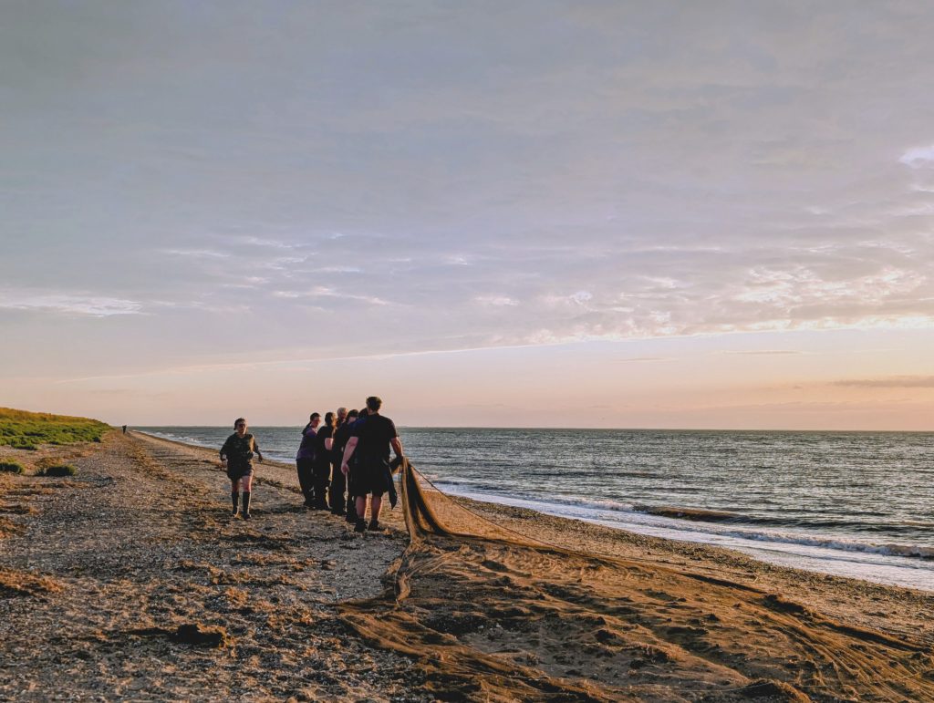 A team of people picking up a cannon net on a beach.