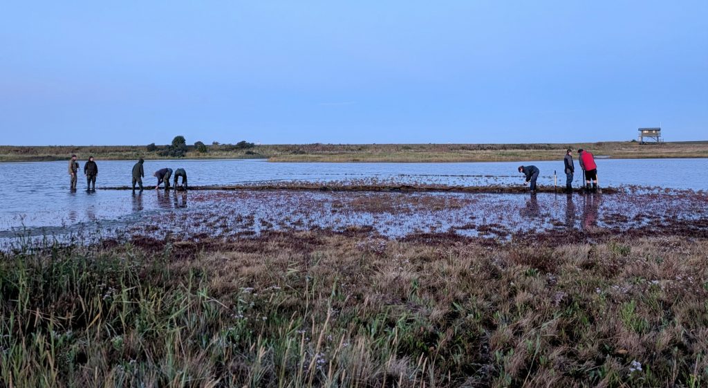 A group of people standing in water, setting a cannon net for a catch.