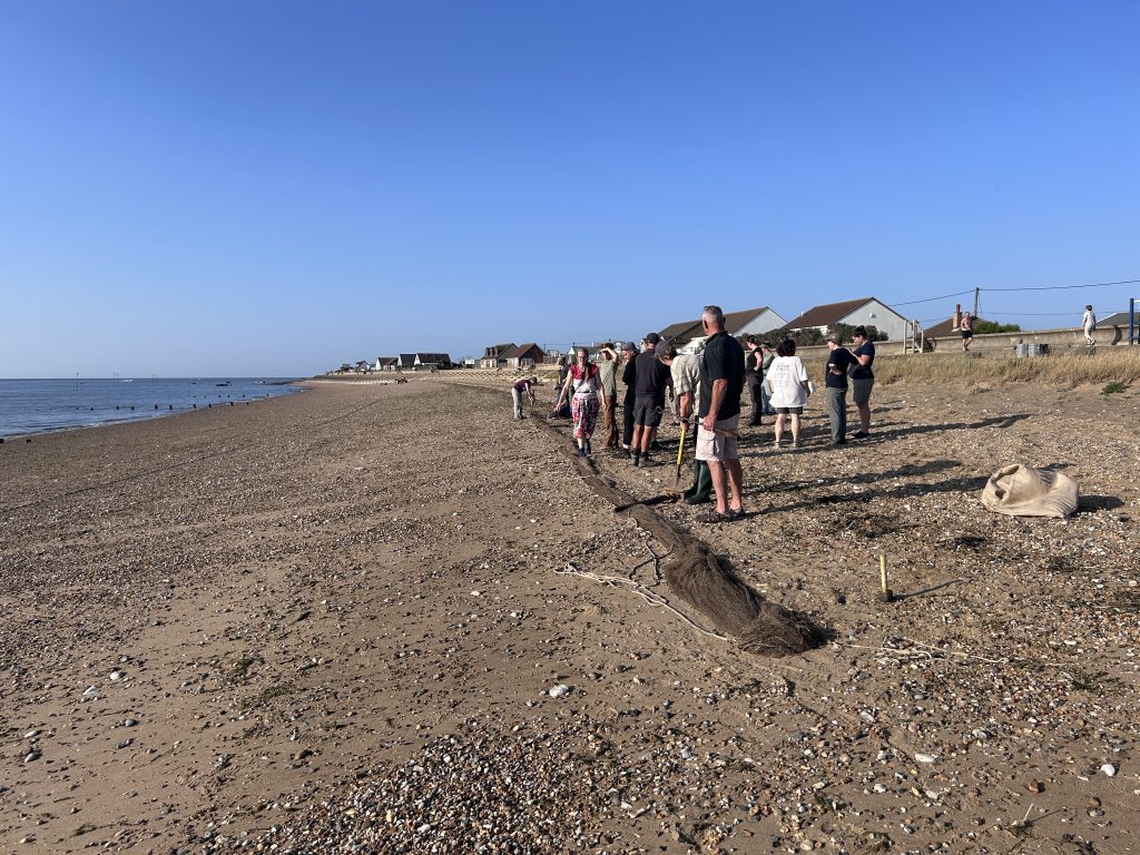 A group of people setting a cannon net on a beach, under a bright, clear blue sky.