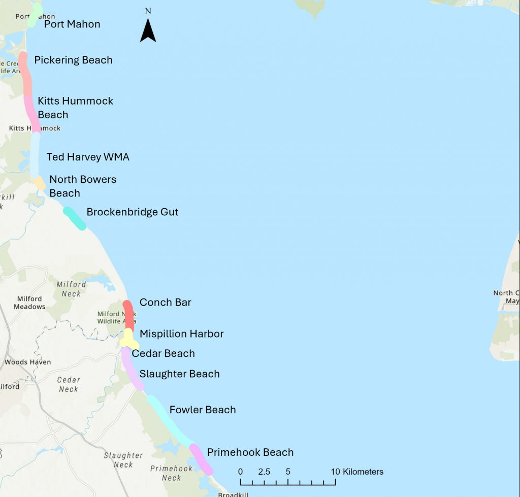 Map of the sites monitored by the Delaware Shorebird Project.